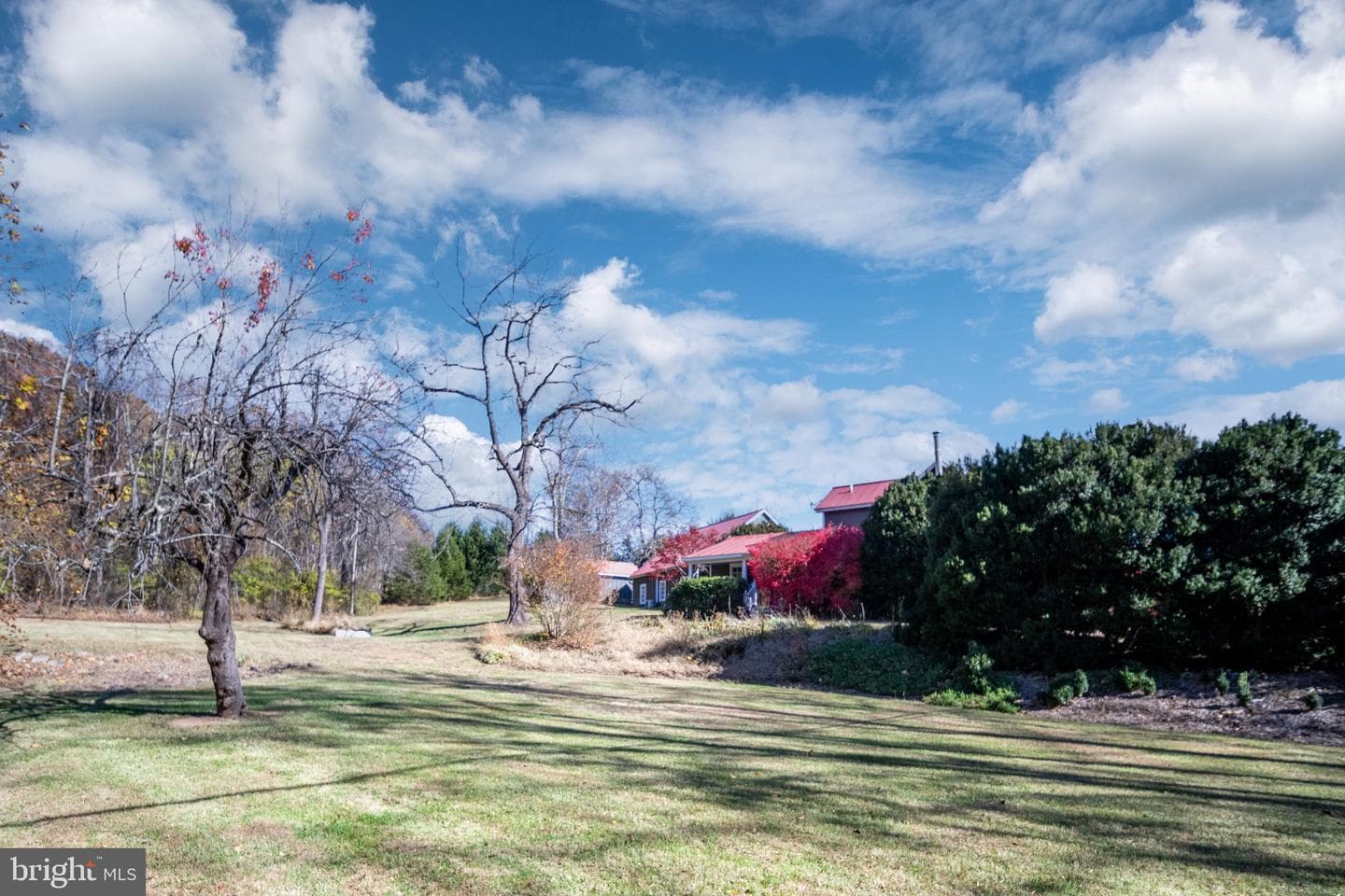 560 Richmond Road photo 102