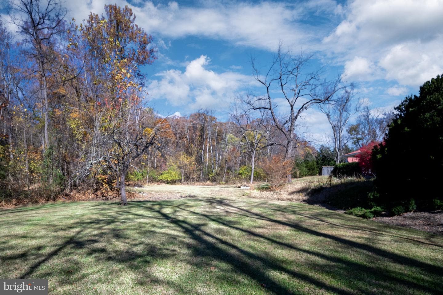 560 Richmond Road photo 103