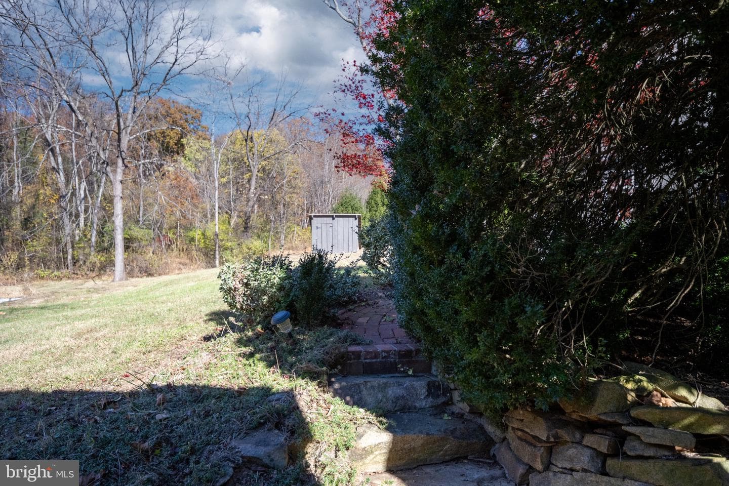 560 Richmond Road photo 111