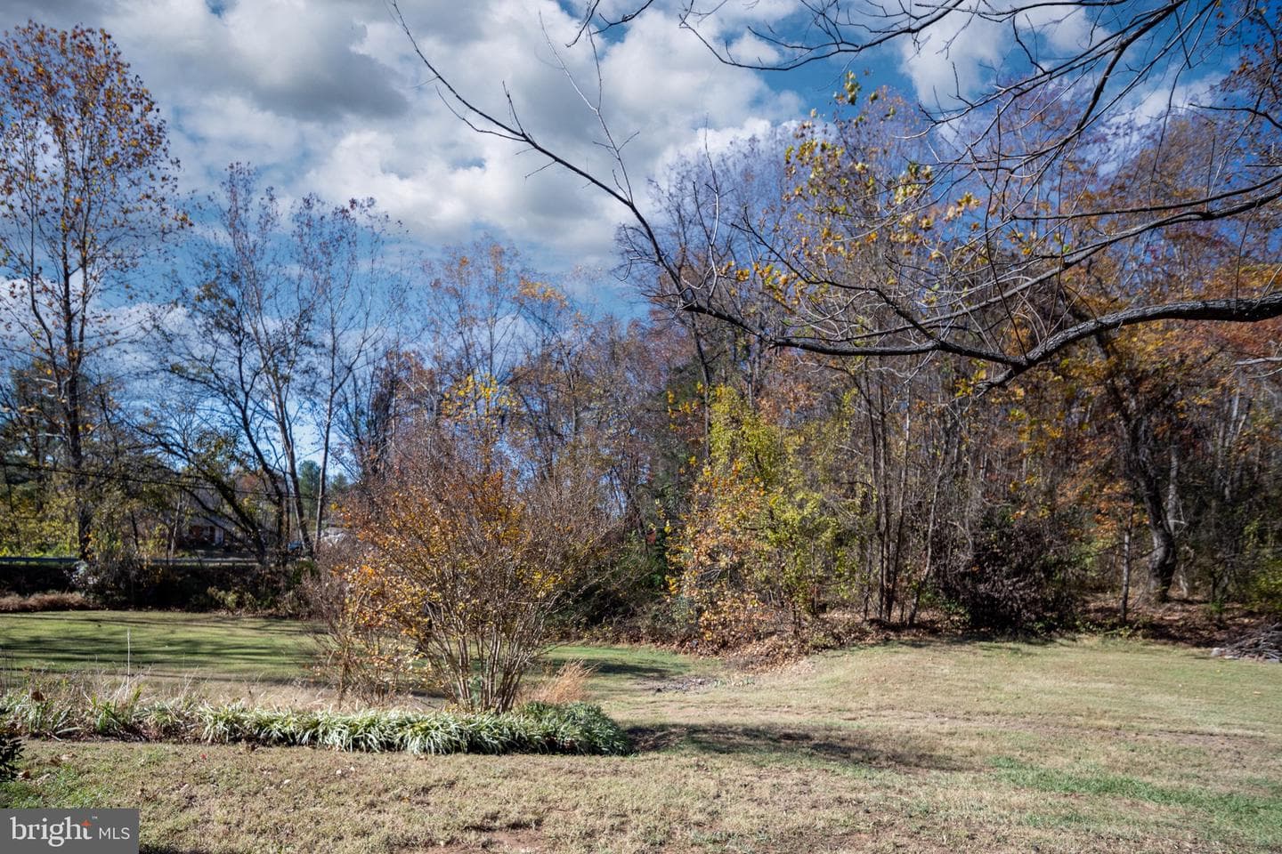 560 Richmond Road photo 113