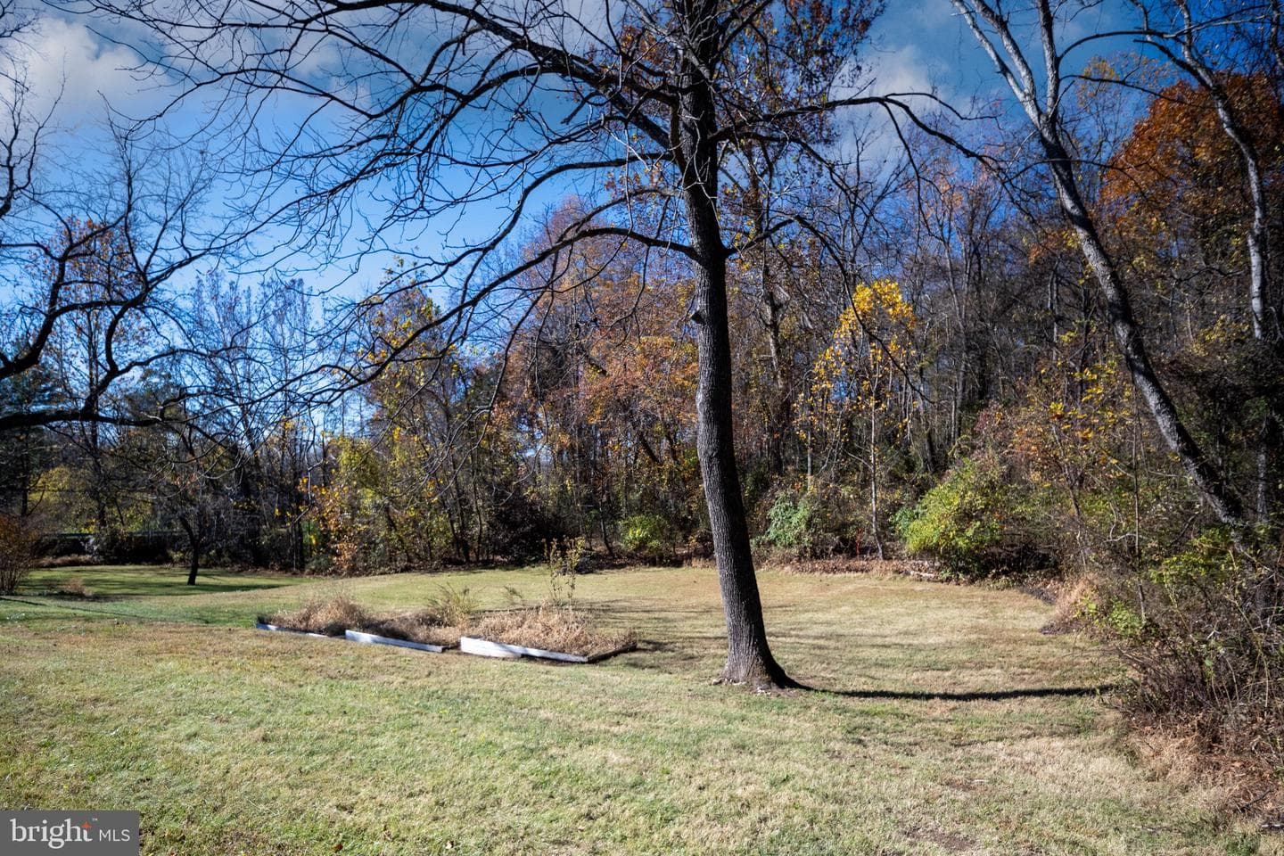 560 Richmond Road photo 122