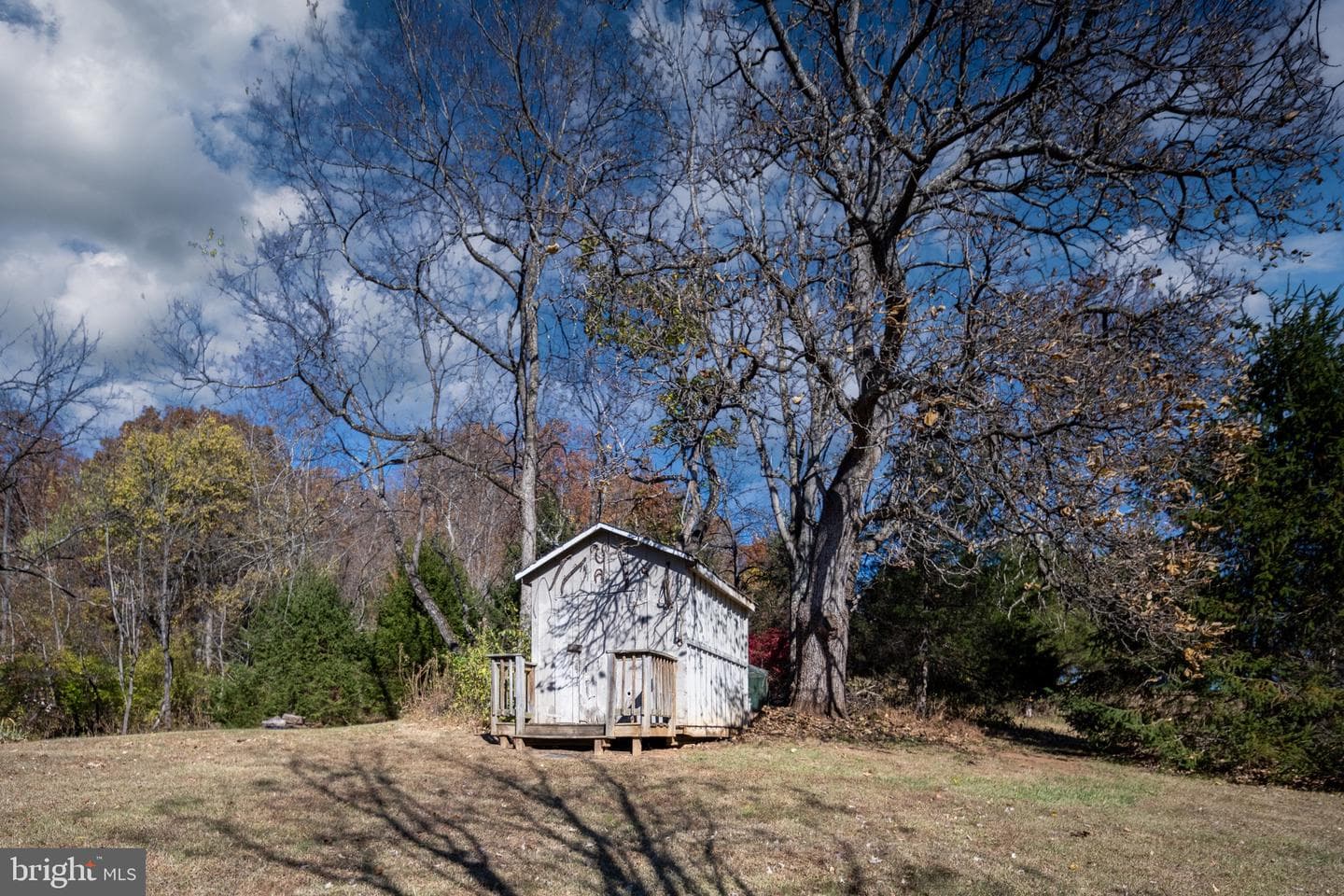560 Richmond Road photo 127