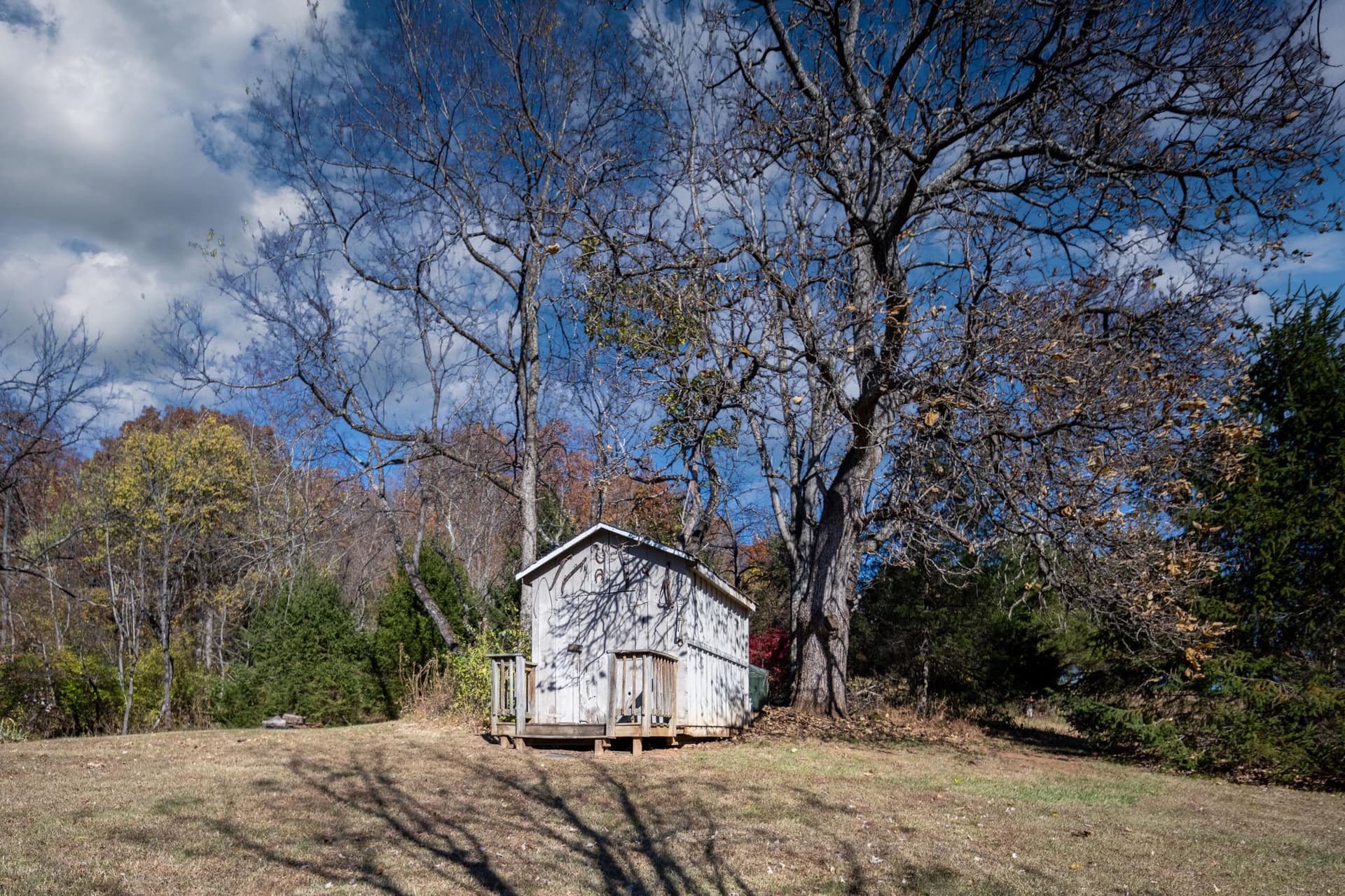 560 Richmond Road photo 134