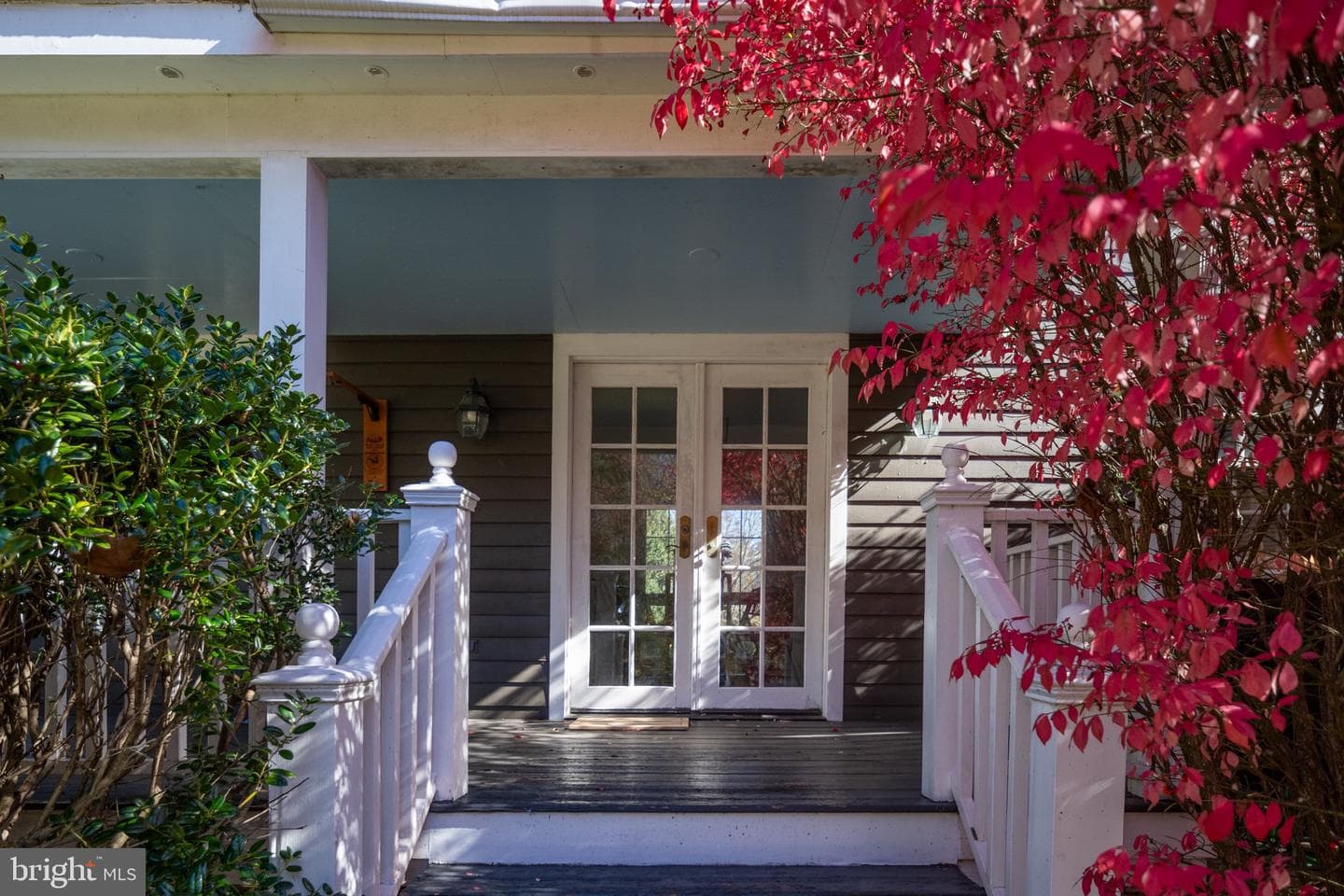 560 Richmond Road photo 8