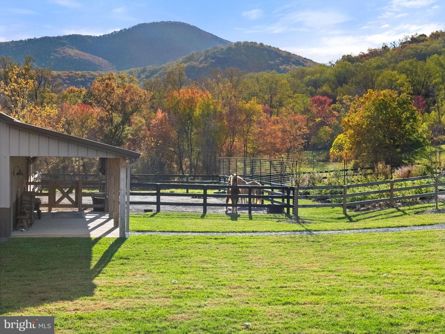 63 Riley Hollow Road photo 54
