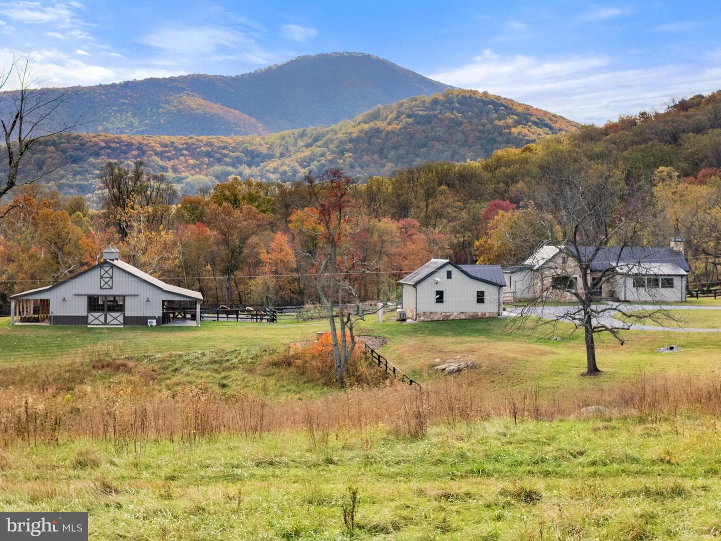 63 Riley Hollow Road photo 55