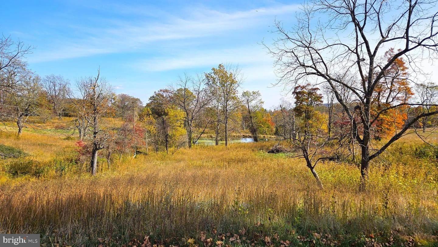 63 Riley Hollow Road photo 60