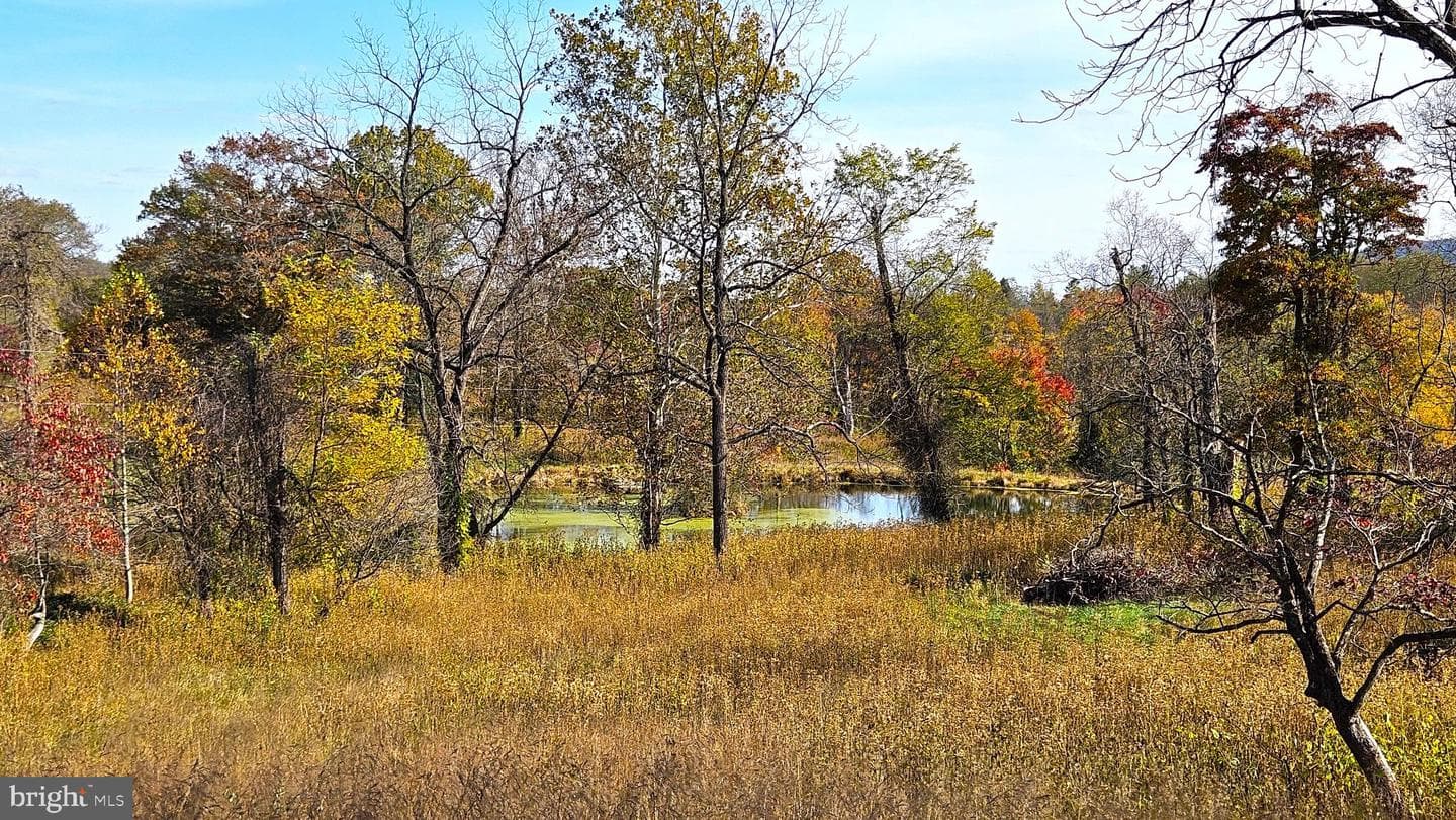 63 Riley Hollow Road photo 61