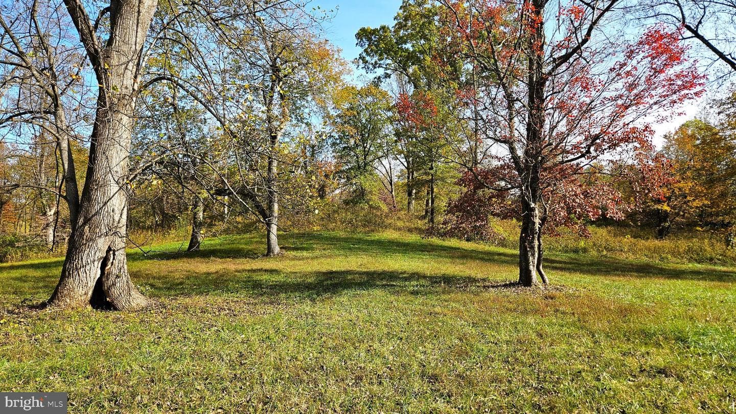 63 Riley Hollow Road photo 71