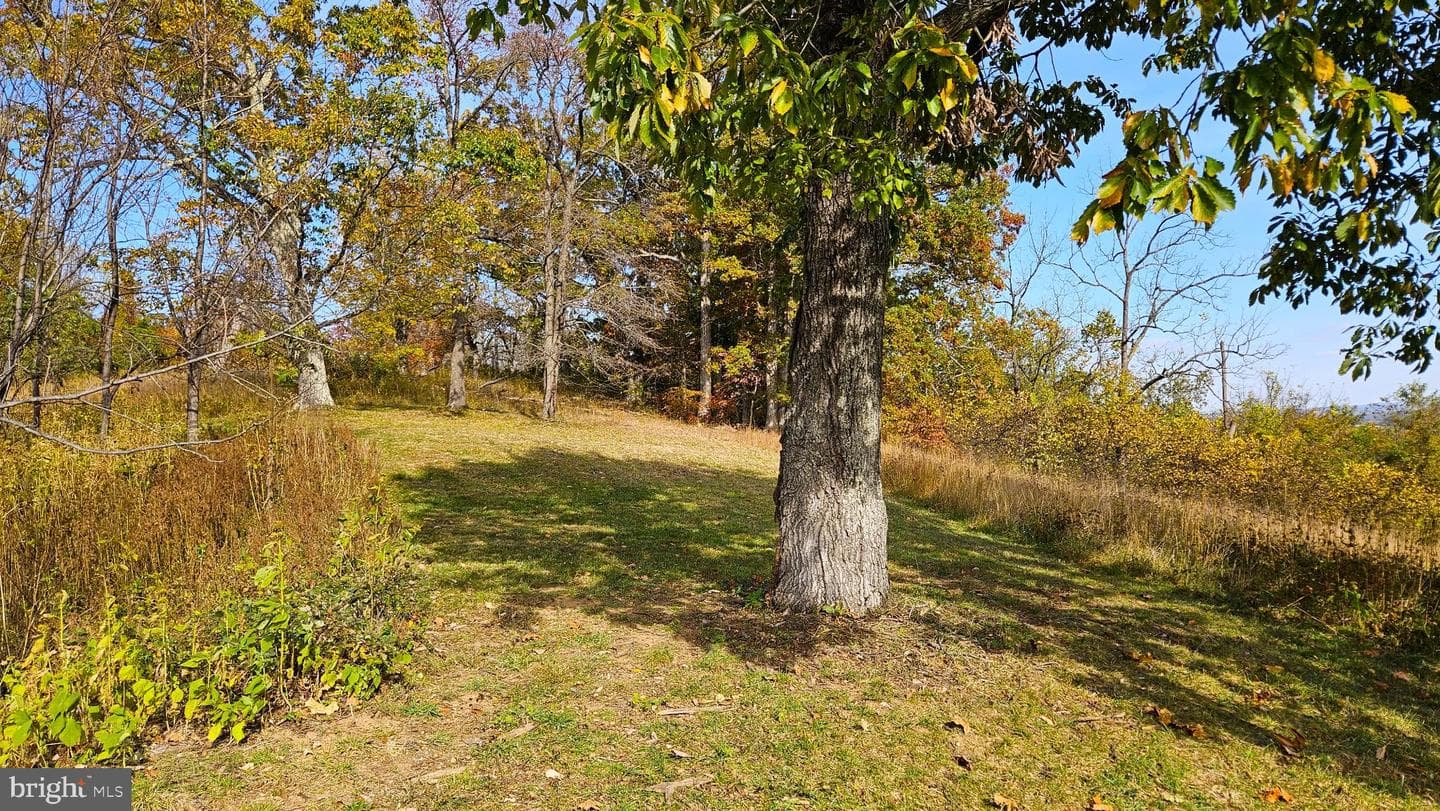 63 Riley Hollow Road photo 76