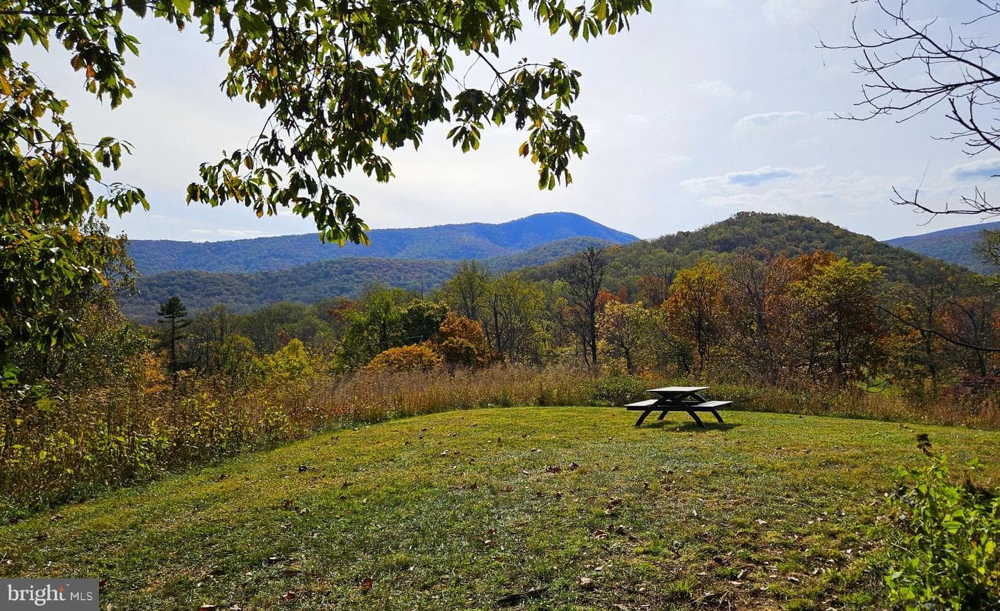 63 Riley Hollow Road photo 80