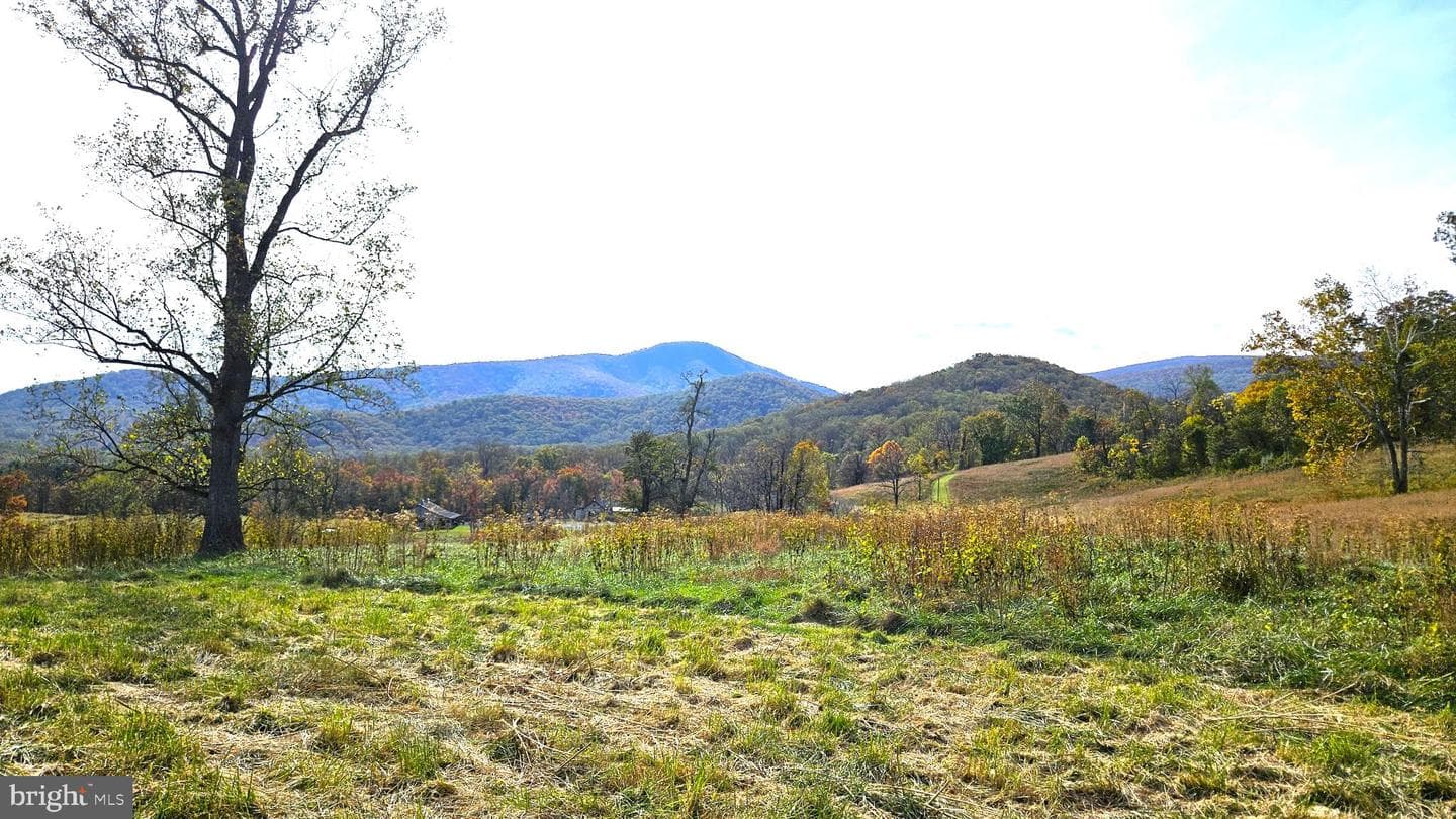 63 Riley Hollow Road photo 86