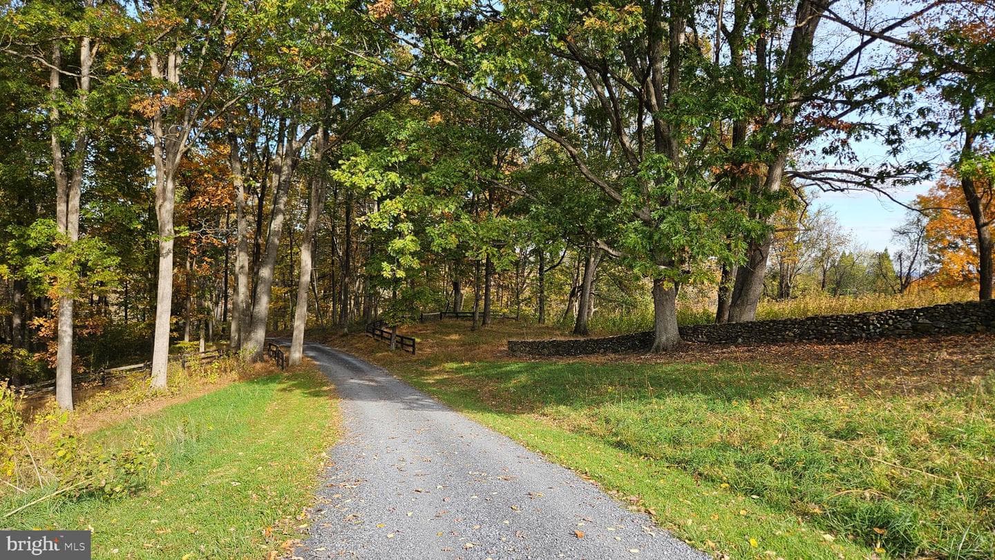 63 Riley Hollow Road photo 89