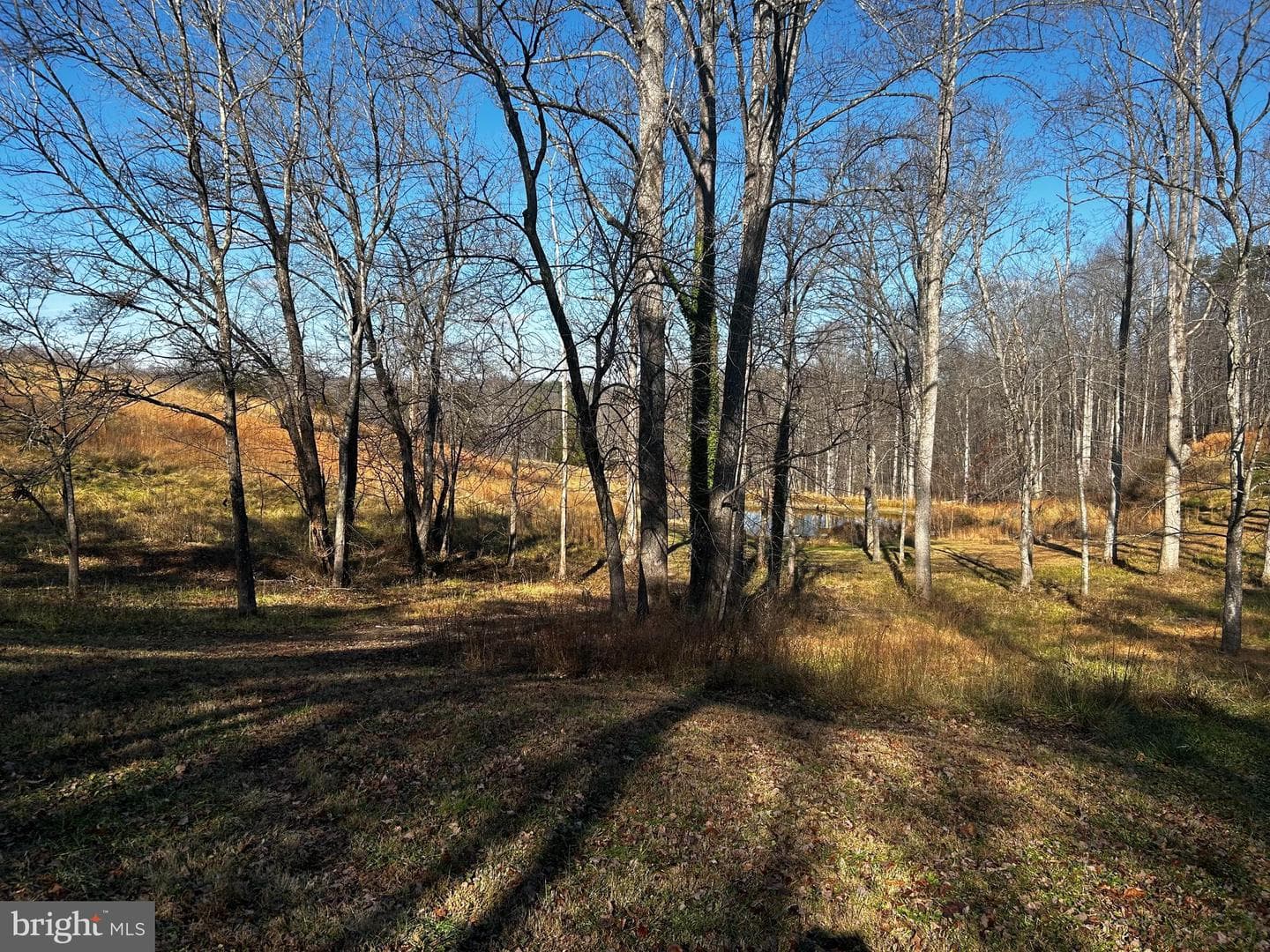 436 Hinsons Ford Road photo 11