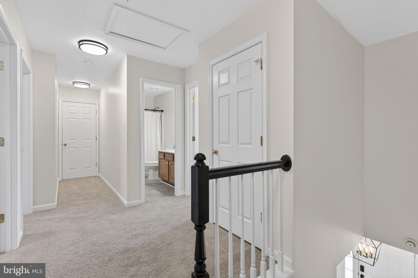 23 Richmond Road photo 8