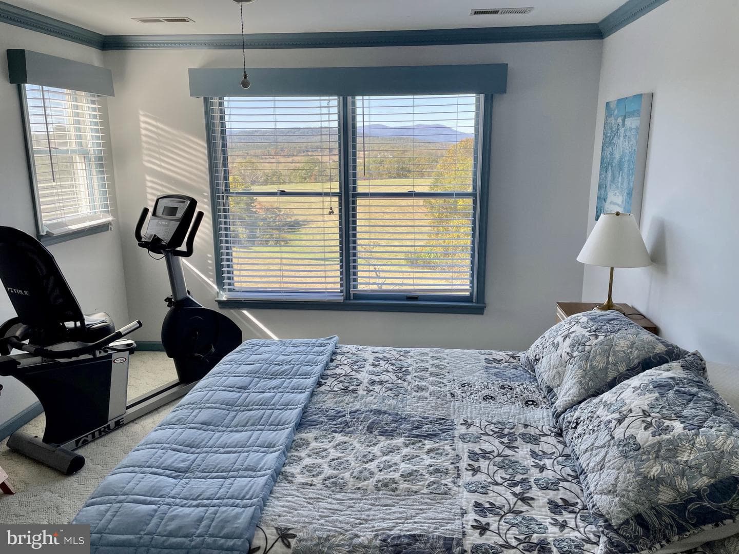 643 Richmond Road photo 35