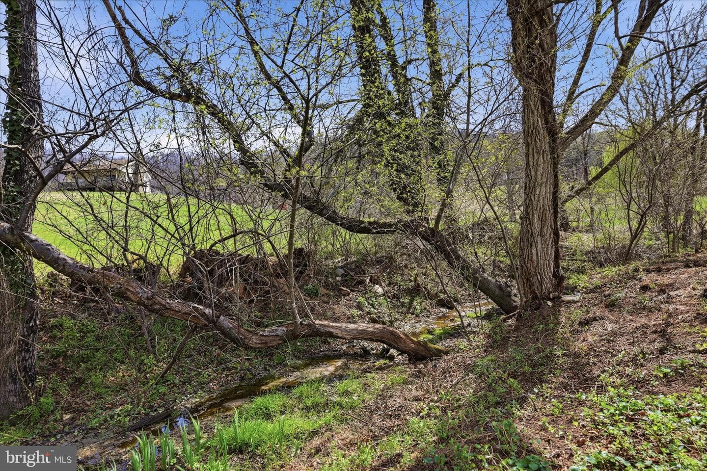 11 Scenic Lane photo 54