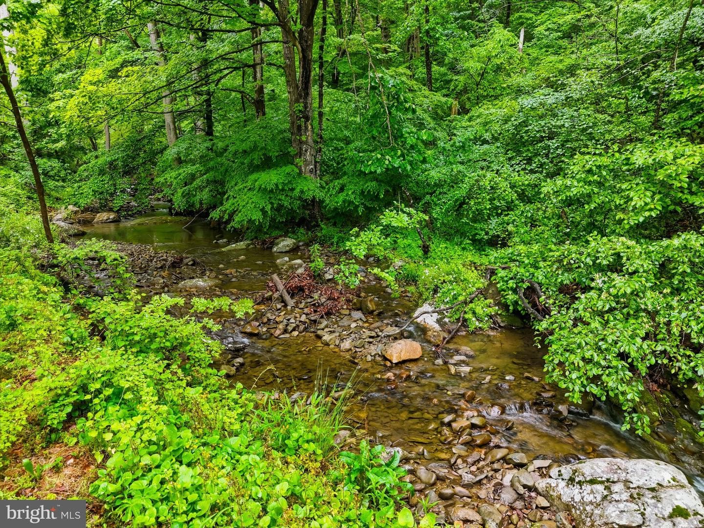 326 Keyser Run Road photo 32