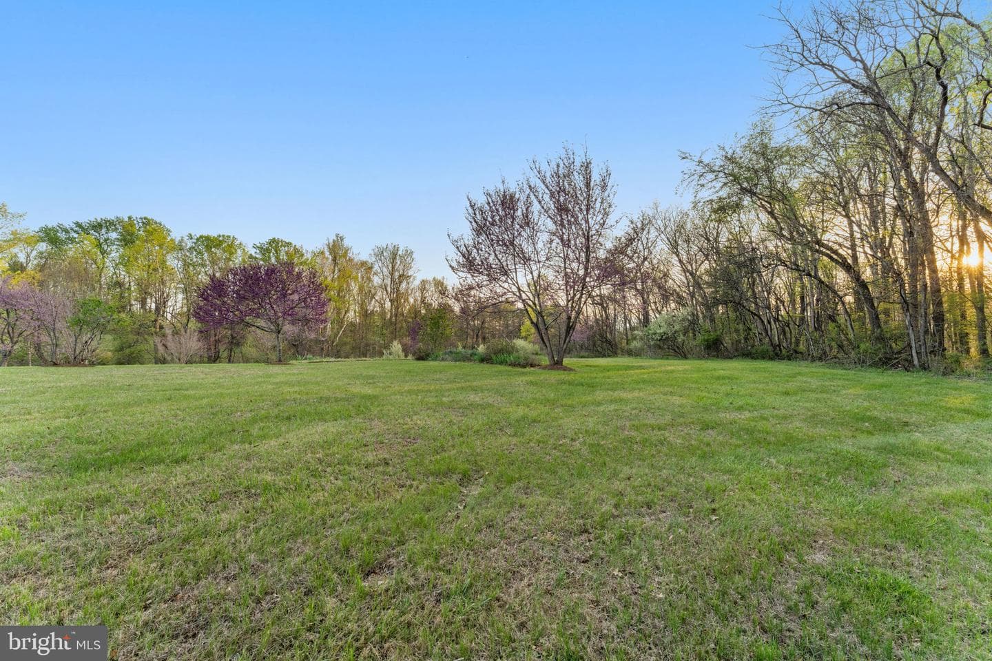 219 Tiger Valley Road photo 55
