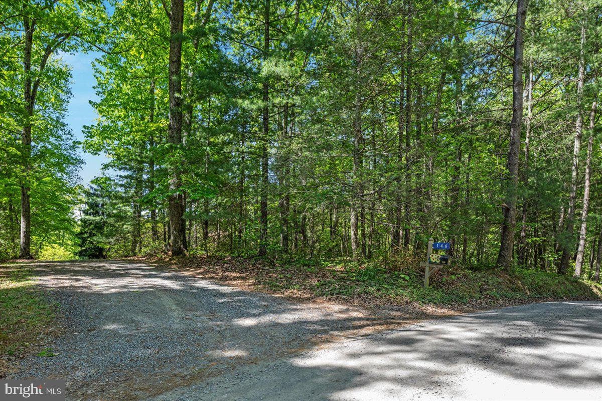 146 Lizzie Mills Road photo 52