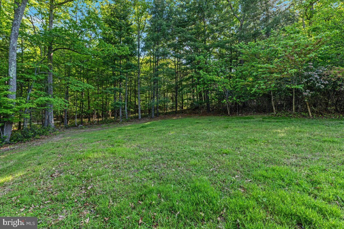 146 Lizzie Mills Road photo 57