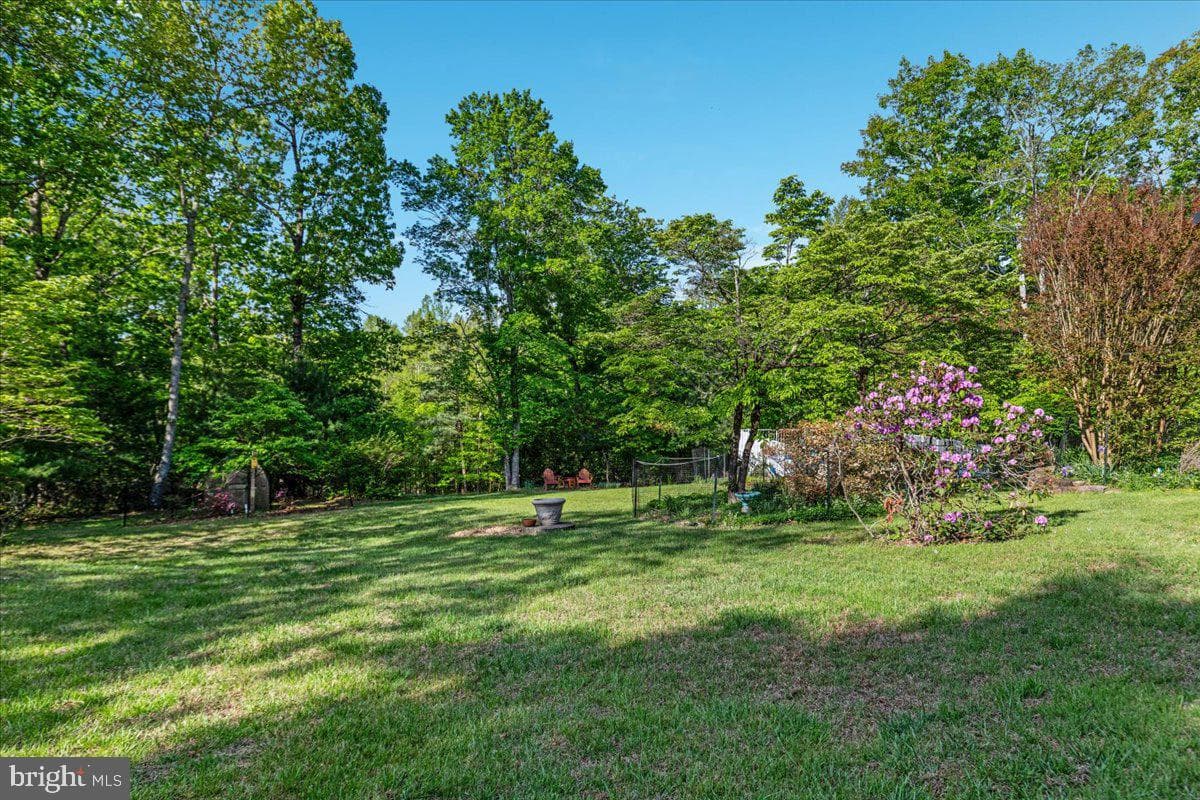 146 Lizzie Mills Road photo 63