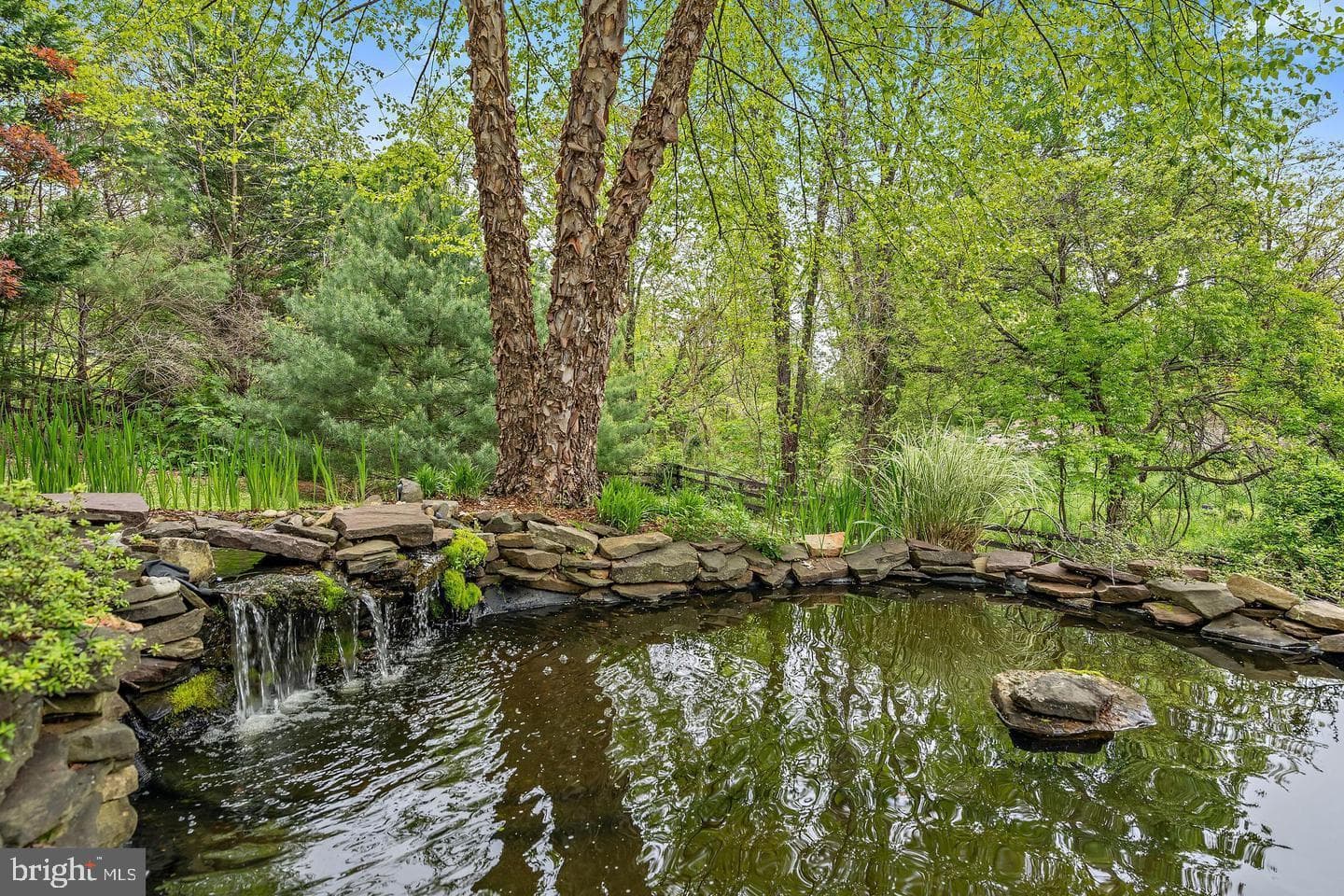 486 Tiger Valley Road photo 10