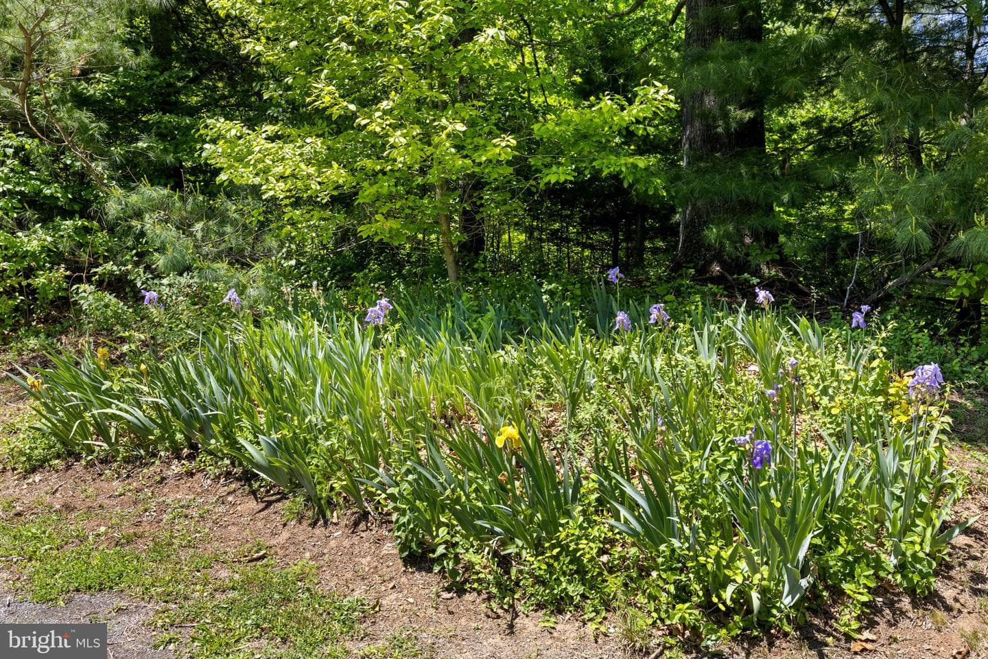 105 Swindler Hollow Road photo 26