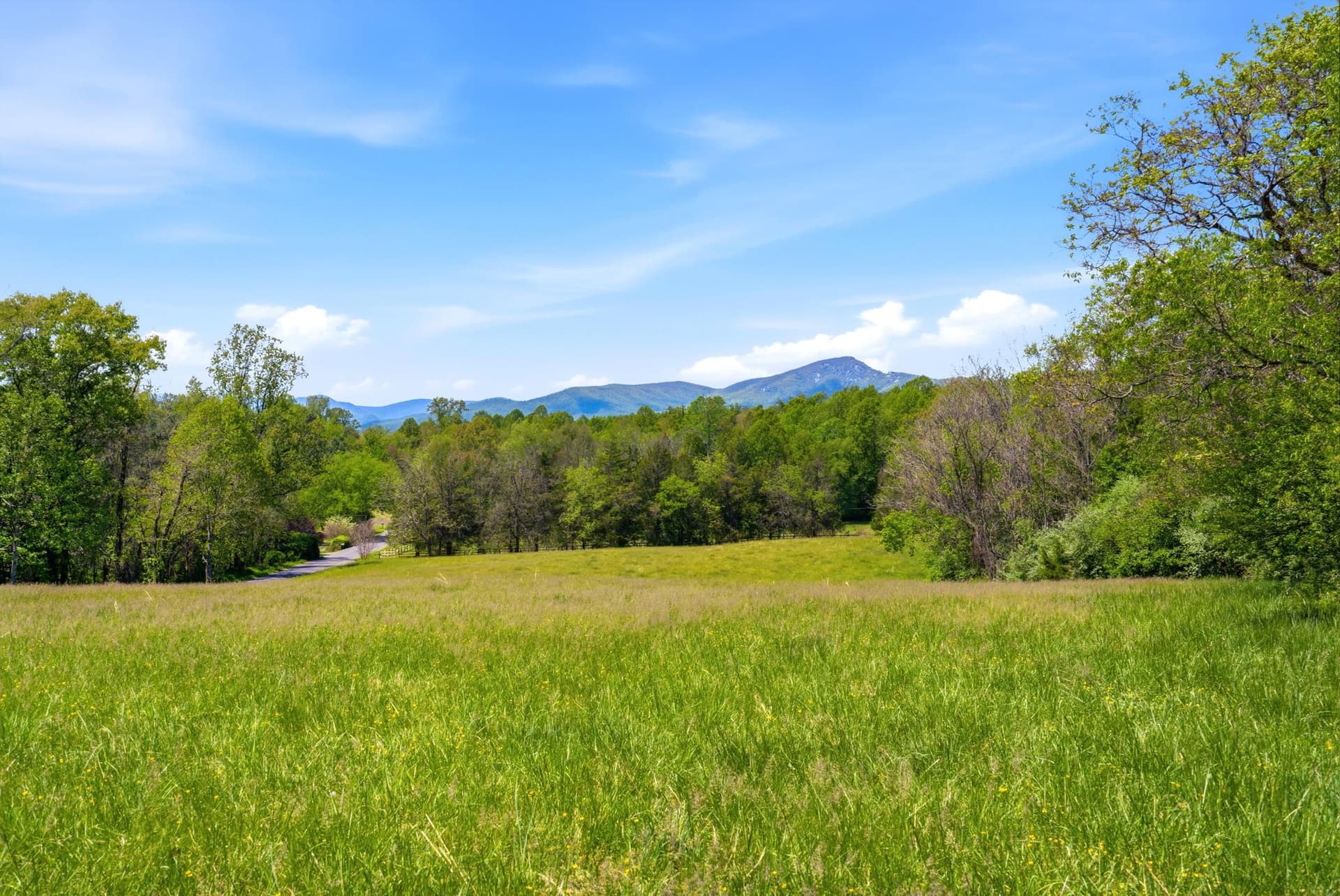 15 Chilton Lane, Sperryville