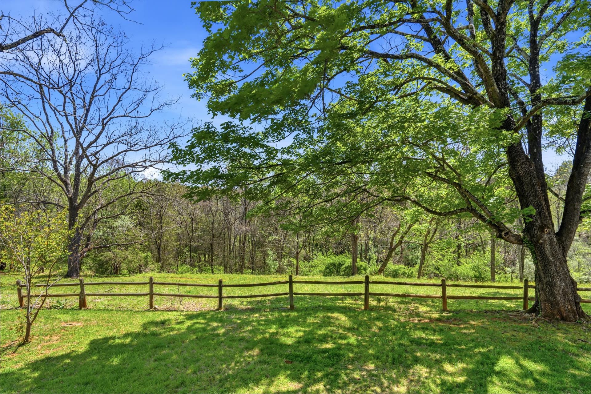 15 Chilton Lane photo 27