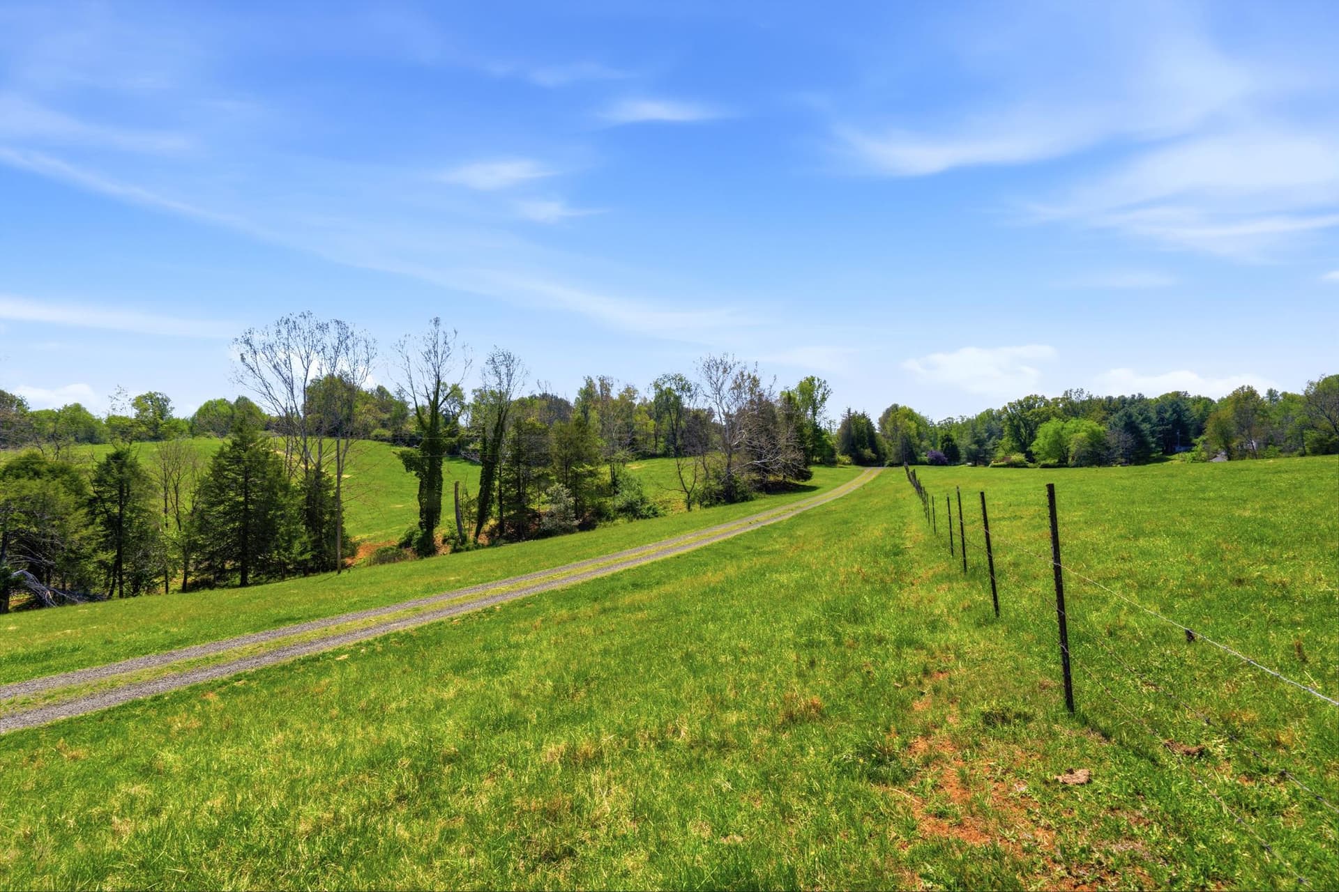 15 Chilton Lane photo 31