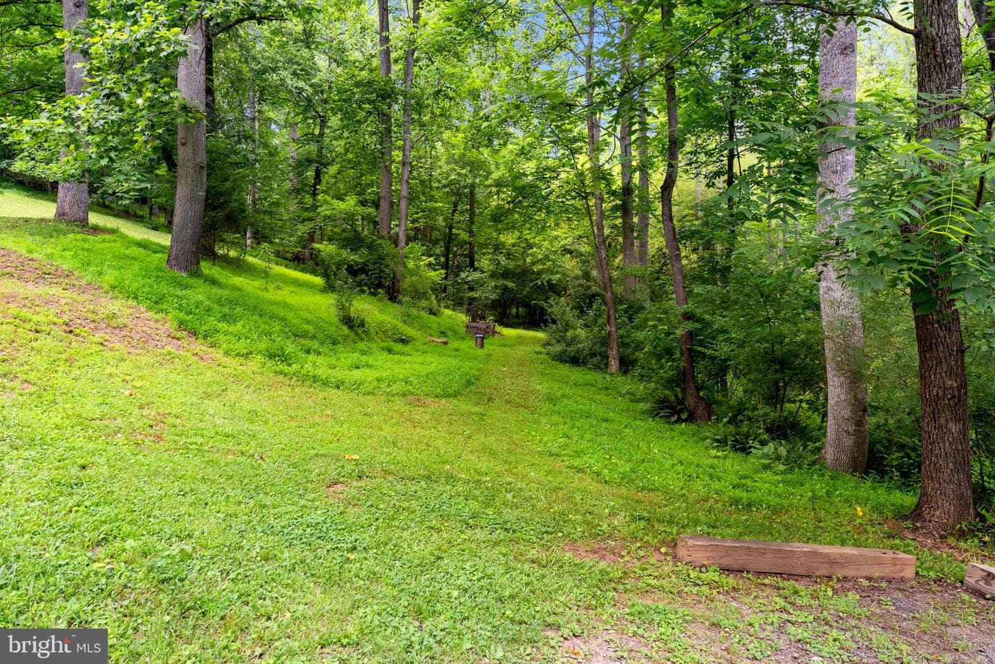 9406 Obannons Mill Road photo 33