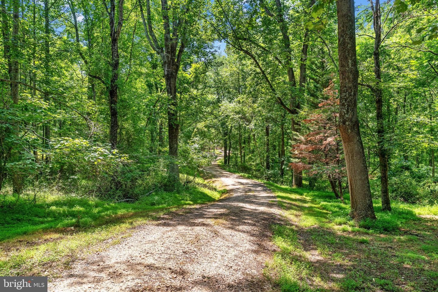 203 Rock Mills Road photo 70