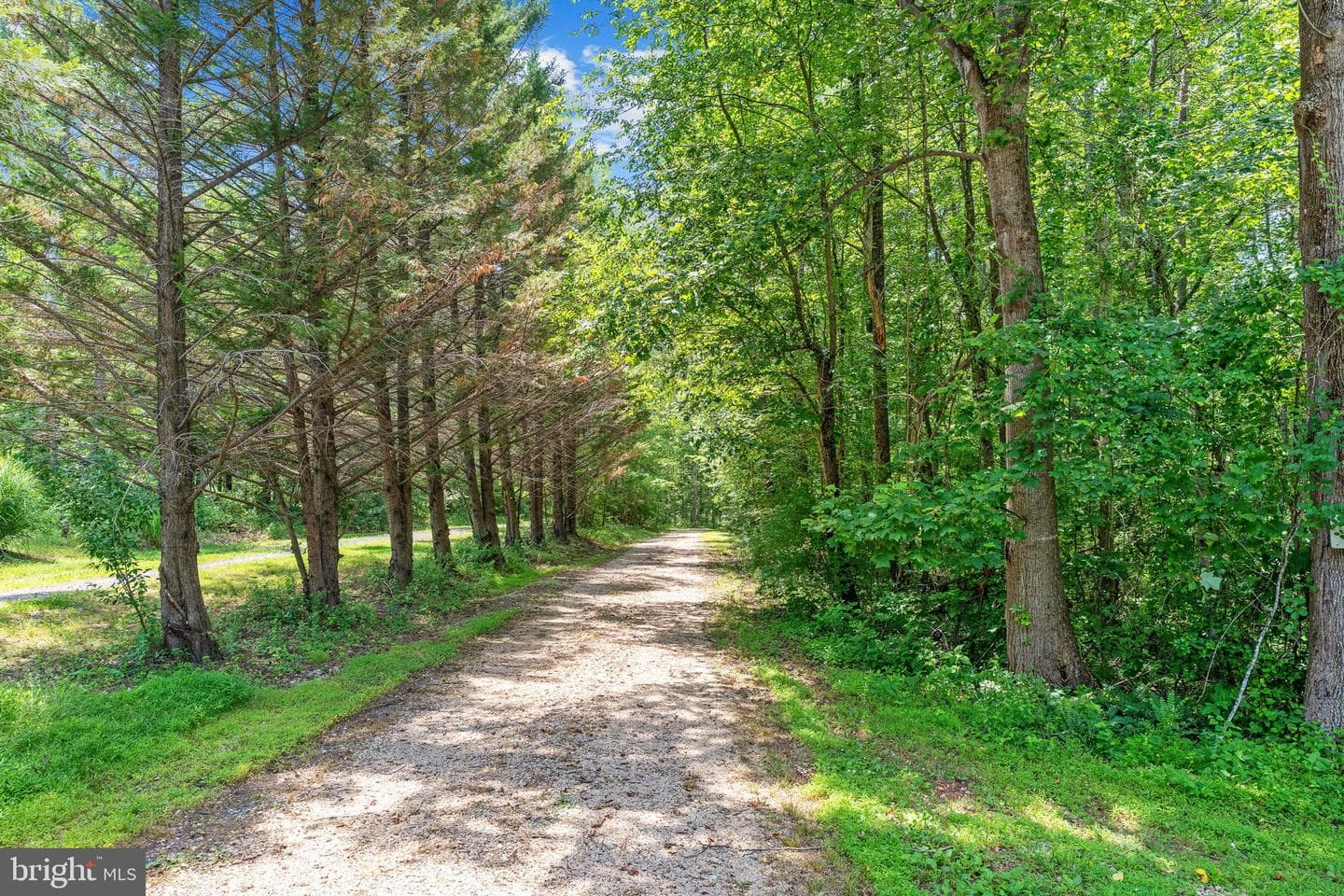 203 Rock Mills Road photo 71