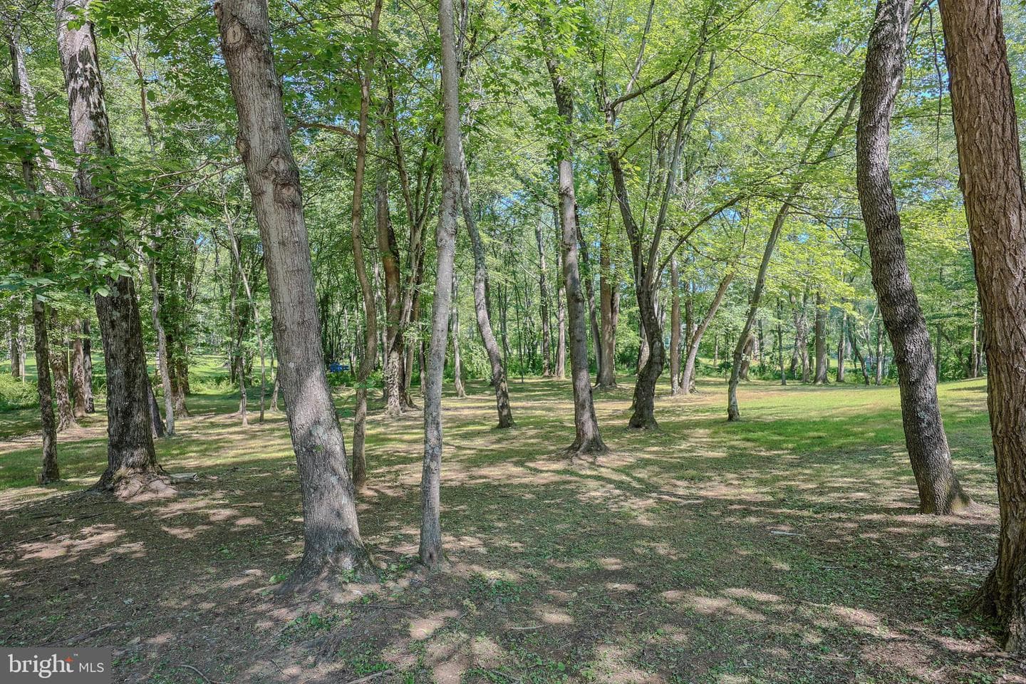14555 Lee Highway photo 45