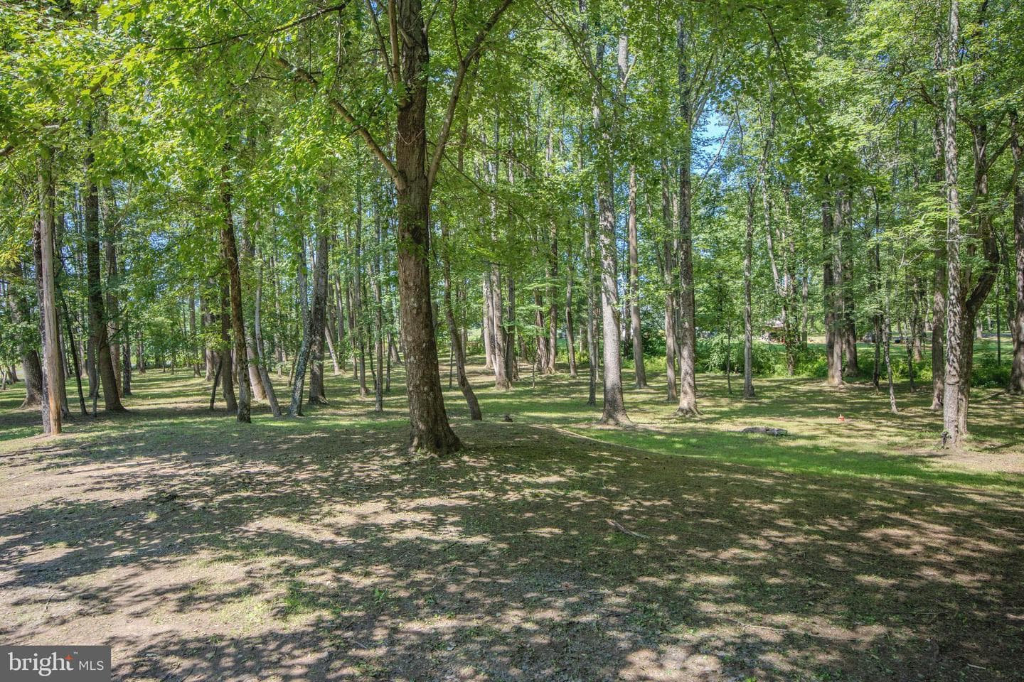14555 Lee Highway photo 46