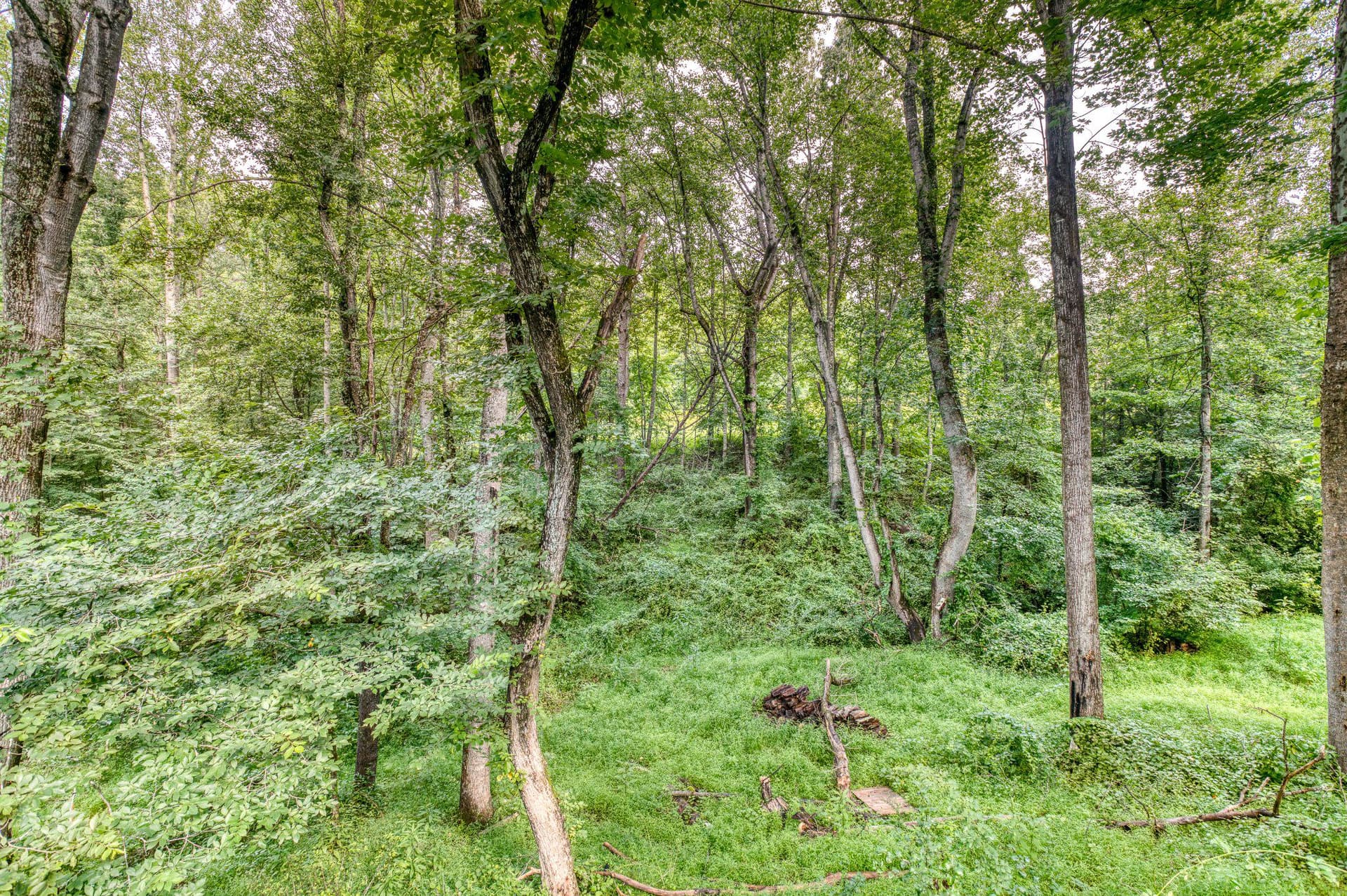 3 Grandie Lane photo 18
