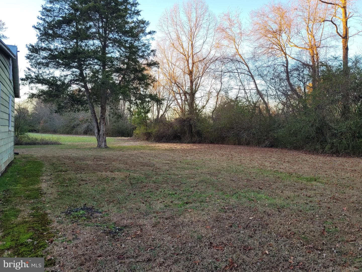 137 Shelton Lane photo 7