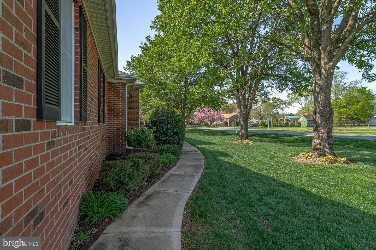 262 College Avenue photo 45