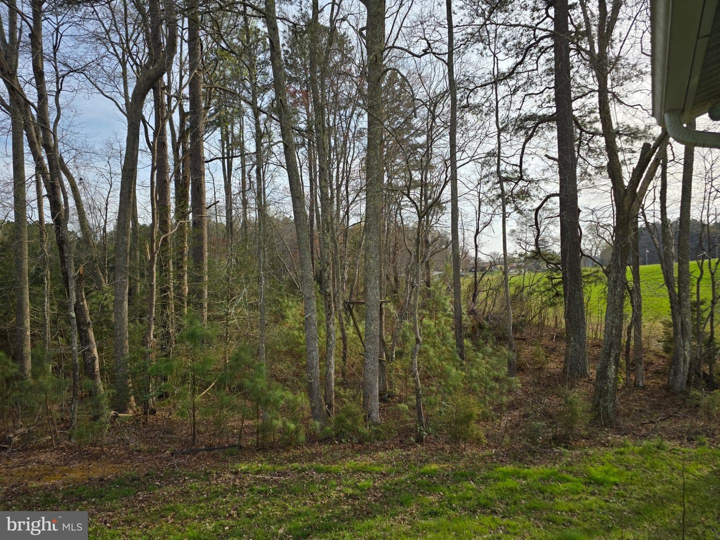 2256 Maon Road photo 7
