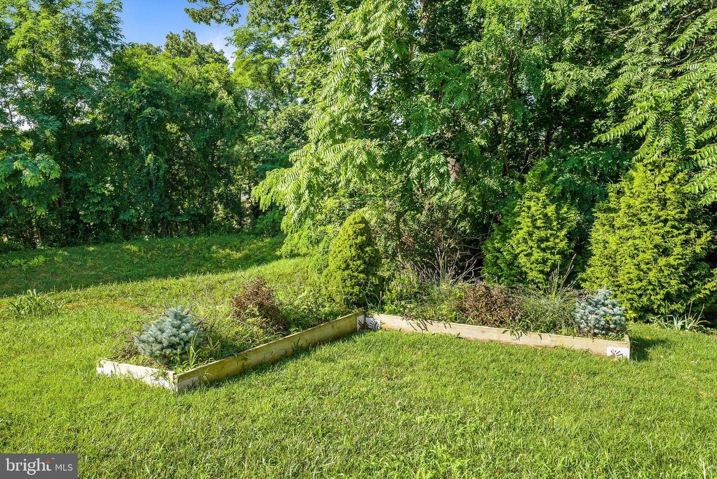 229 Forest Ridge Road photo 54