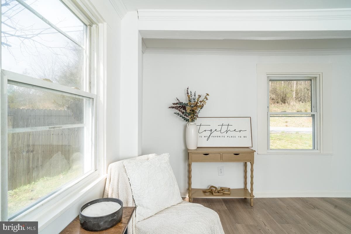 537 Straith Street photo 6