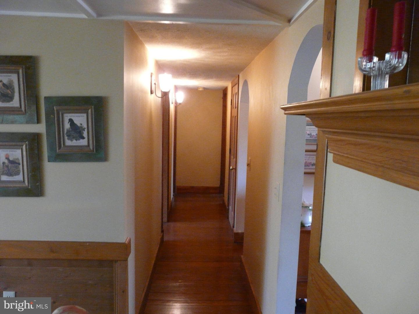 177 Connie Road photo 19