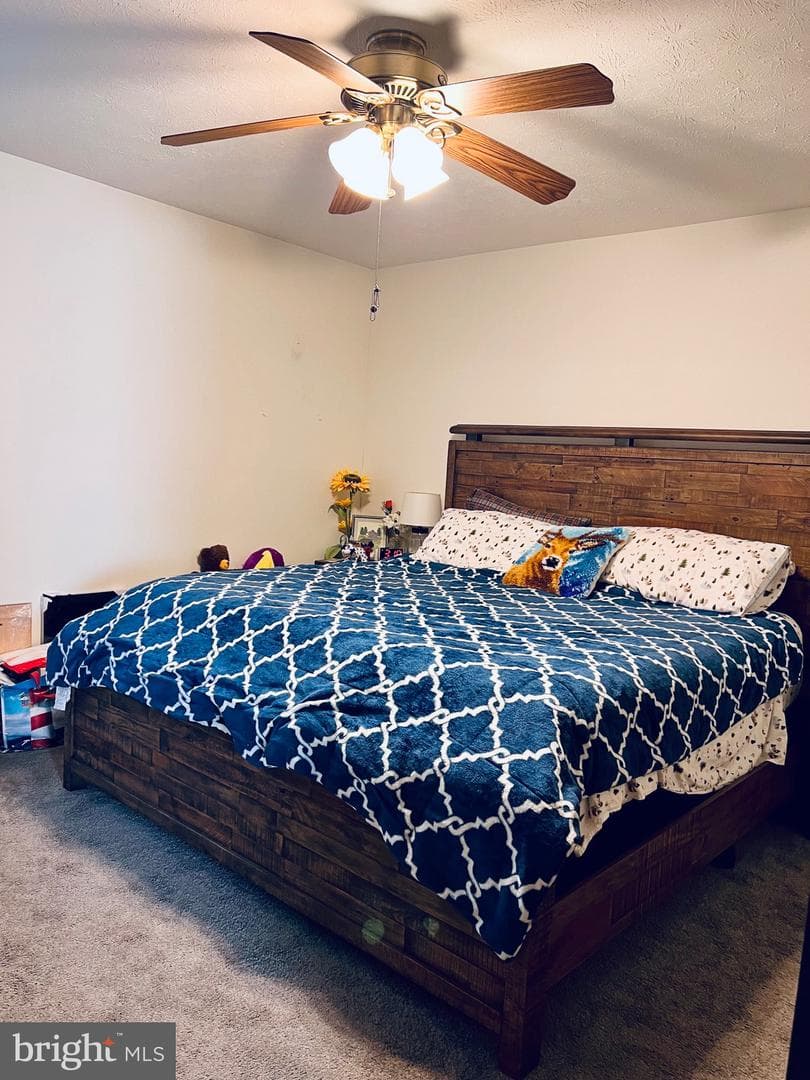 88 Friendship Court photo 21