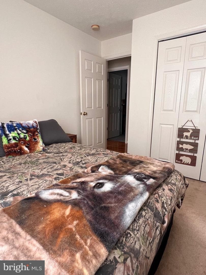88 Friendship Court photo 26