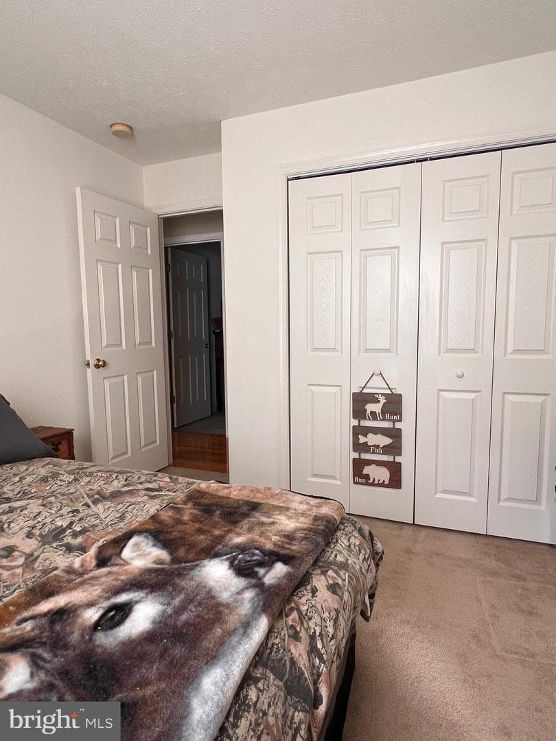 88 Friendship Court photo 27
