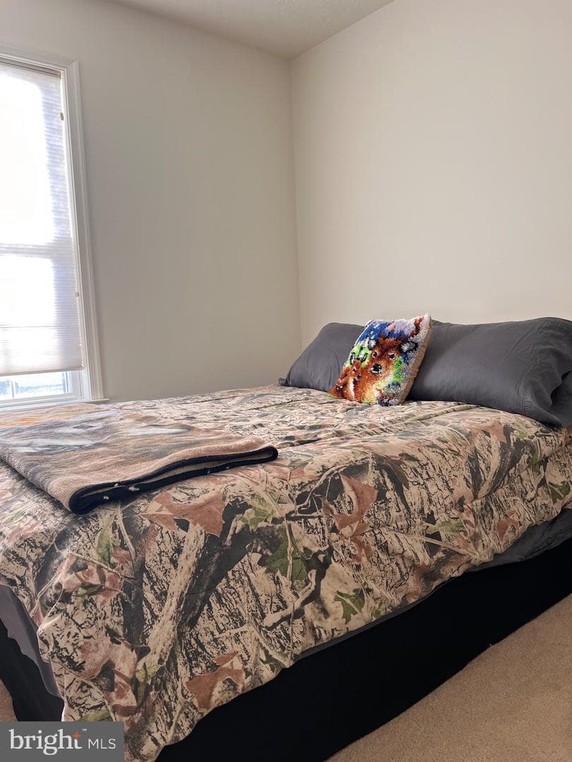 88 Friendship Court photo 28