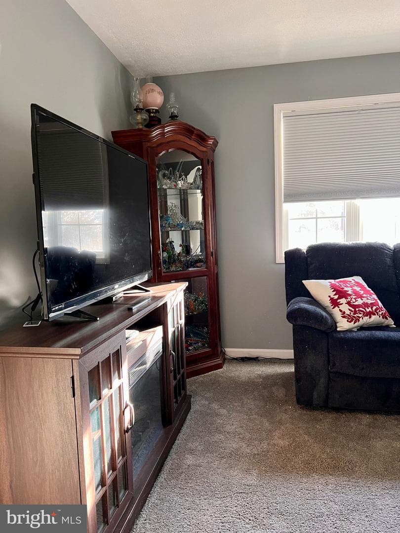 88 Friendship Court photo 33