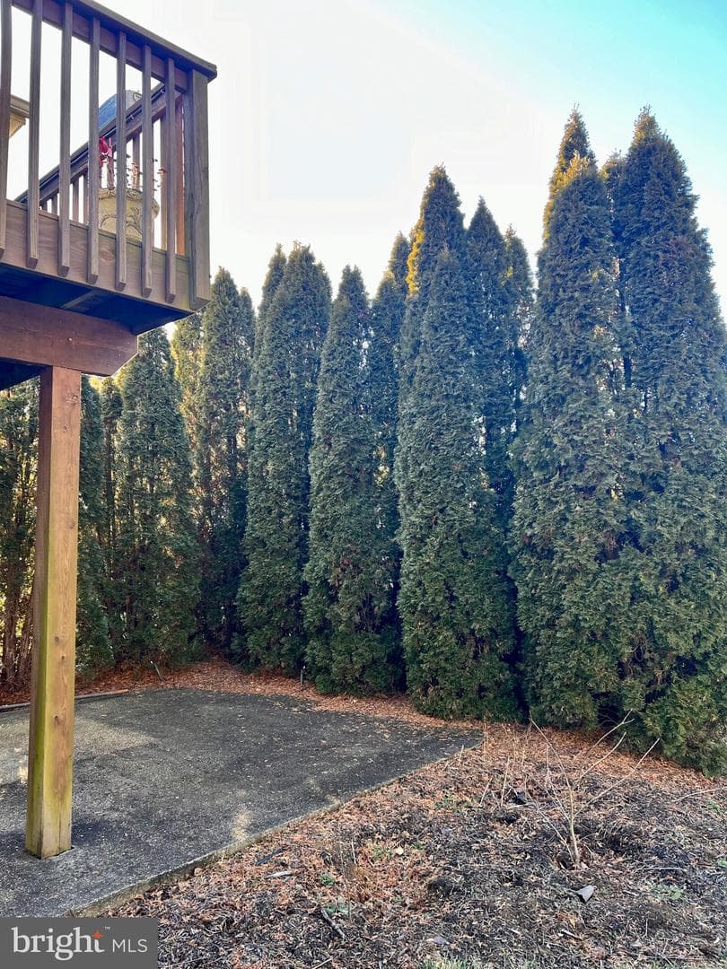 88 Friendship Court photo 47