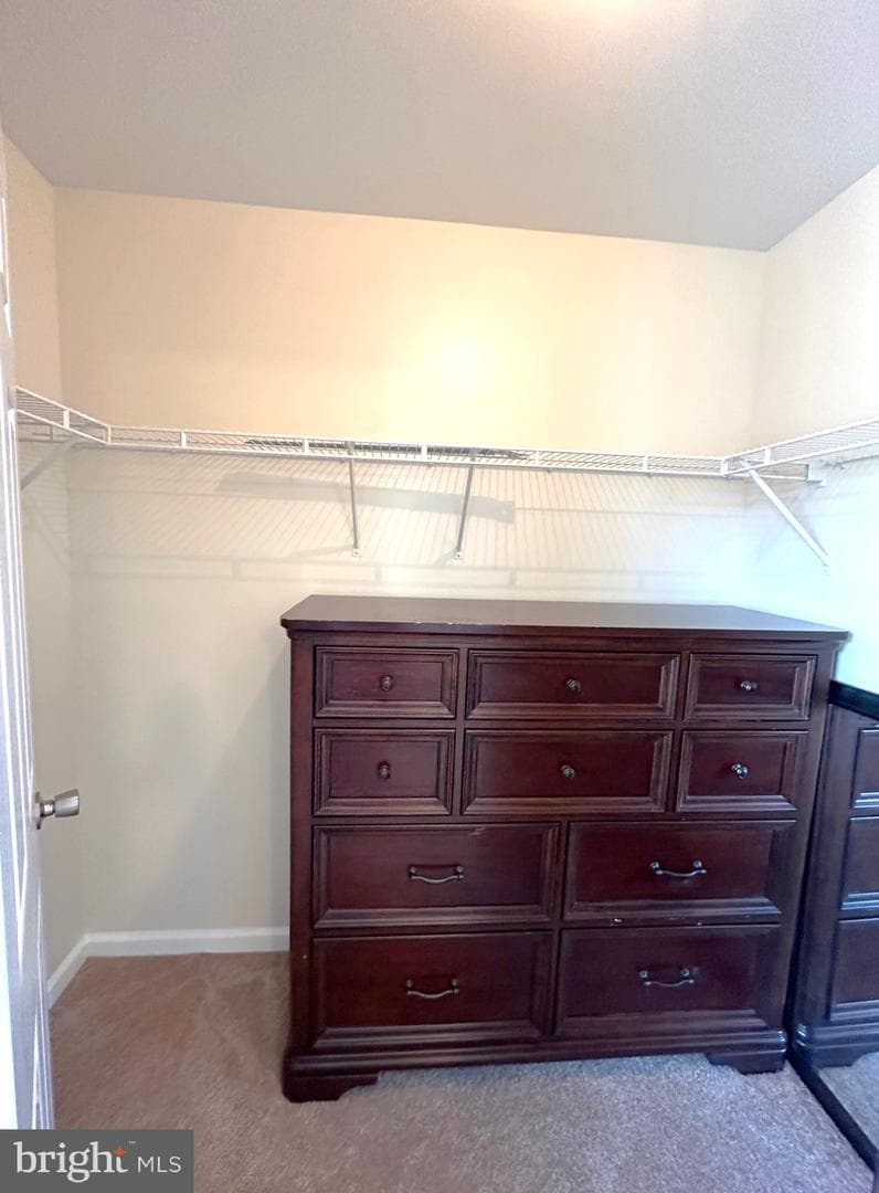 509 Frontier Fort Lane photo 28